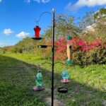 Wild Bird Feeding Station Kit