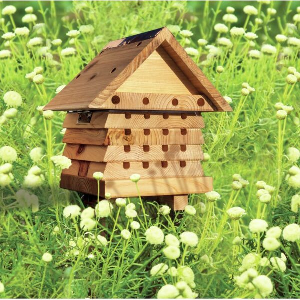 Wildlife World Mason Bee Hive - Image 2