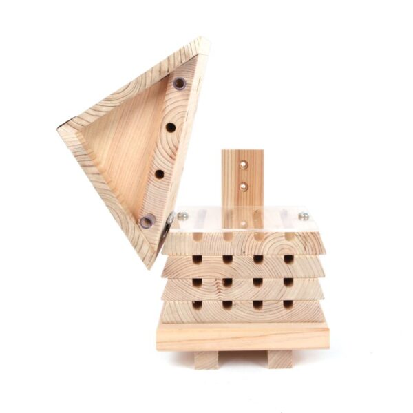 Wildlife World Mason Bee Hive - Image 6