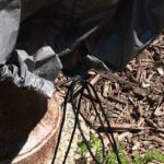 William Fountain Cover - Image 5