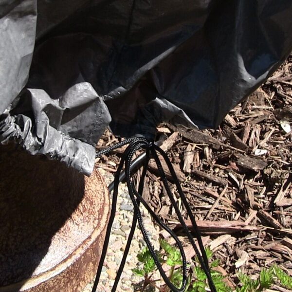 William Fountain Cover - Image 5