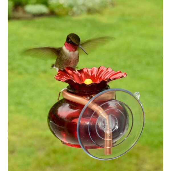 Window Watch Hummingbird Feeder - Image 2