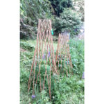 Wood Expanding Trellis - Image 2