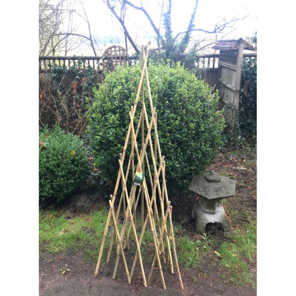 Wood Obelisk Trellis - Image 4