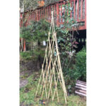 Wood Obelisk Trellis - Image 3