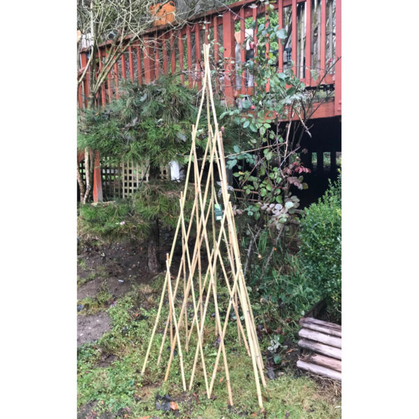 Wood Obelisk Trellis - Image 3