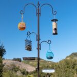 Yajaira Decorative Bird Feeder - Image 7