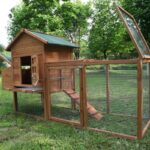 Zebediah 12 Square Feet Chicken Coop with Chicken Run - Image 2
