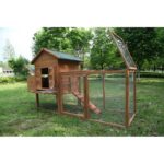 Zebediah 12 Square Feet Chicken Coop with Chicken Run - Image 6