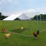Zed 66 Square Feet Chicken Run