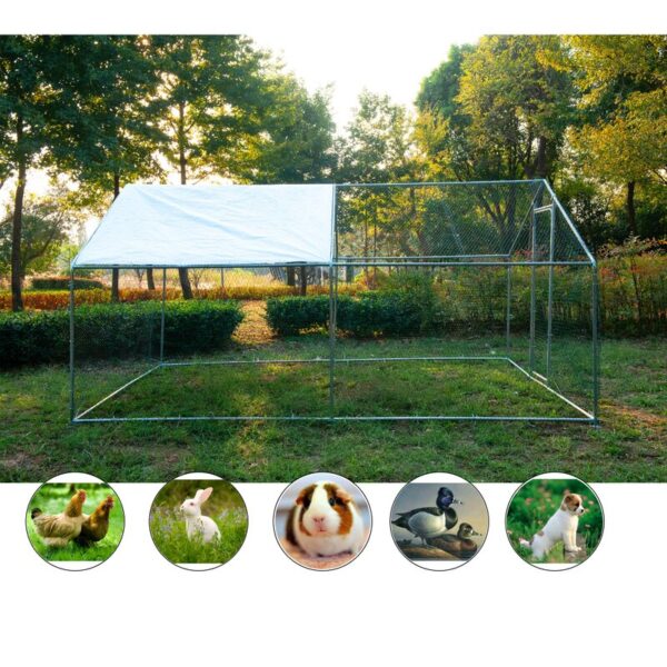 Zed 66 Square Feet Chicken Run - Image 3